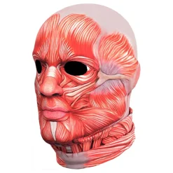 Discount Widmann S.r.l. Anatomi Kostume
