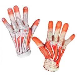 Discount Widmann S.r.l. Anatomi Kostume
