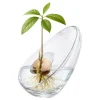 Discount Mikamax B.V. Avocadovase i Glas