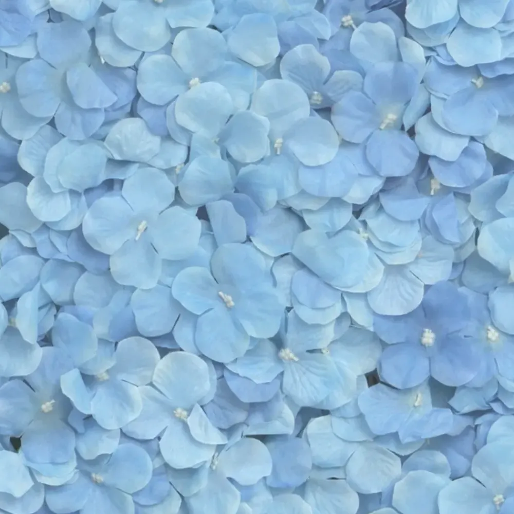 CHAKS Backdrop Hortensia Blå - Oppyntning
