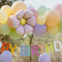 Clearance PartyDeco sp. z o.o. Folieballoner Margueritter til Ballonbue