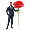 Mikamax B.V. Gigantisk Rose