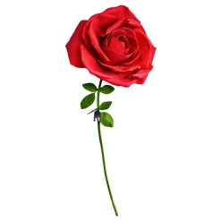 Mikamax B.V. Gigantisk Rose