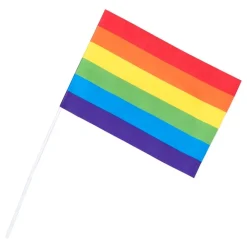 Boland Party Partners B.V. Håndflag i Papir Pride - Flag