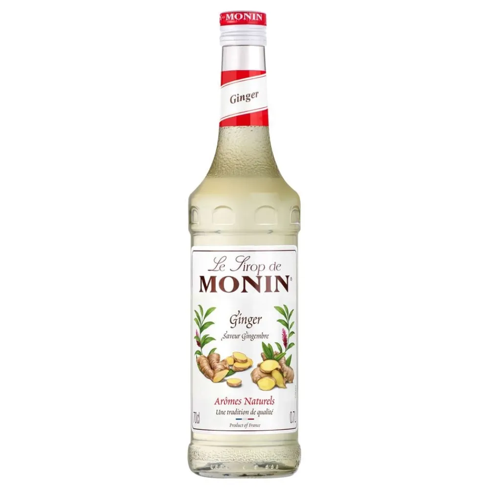 Best Barkonsult AB Monin Ginger Sirup