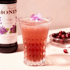 New Barkonsult AB Monin Violet Sirup