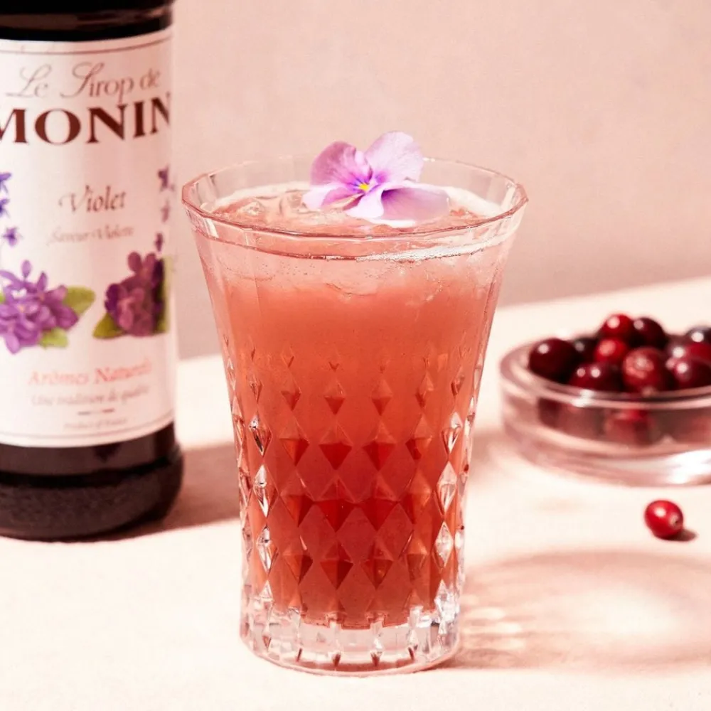 New Barkonsult AB Monin Violet Sirup