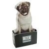 Ohlsson & Lohaven AB Mustard Dog In A Box Sticky Notes - Spil & Leg|Hjem & Husholdning
