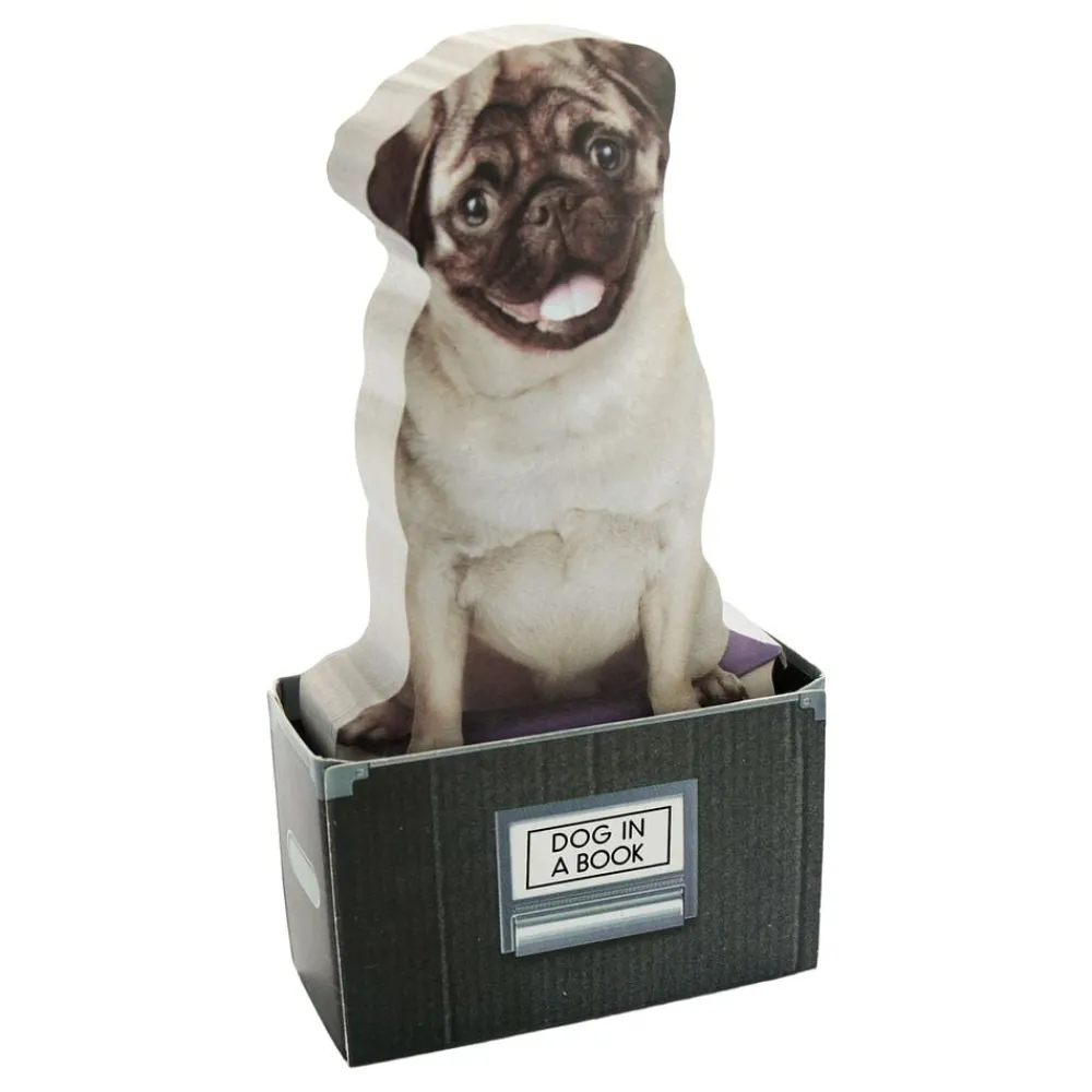 Ohlsson & Lohaven AB Mustard Dog In A Box Sticky Notes - Spil & Leg|Hjem & Husholdning
