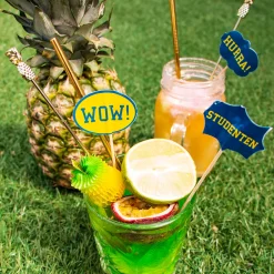 Folat B.V. Partypicks Studenten - Servering|Oppyntning